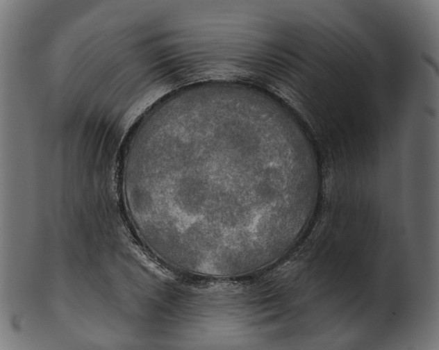 X0000100471026200807031822