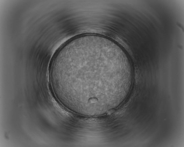 X0000100471028200807031822