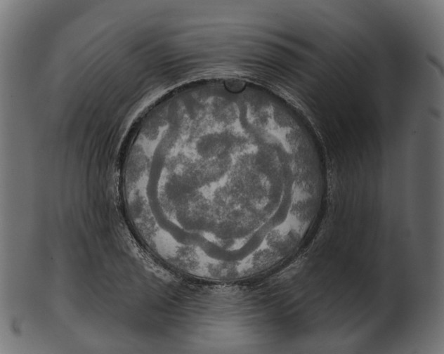 X0000100471029200807031822