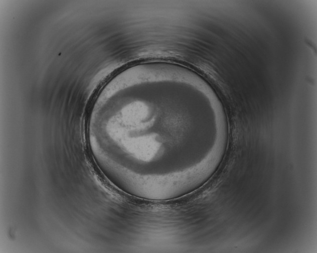 X0000100471030200807031822