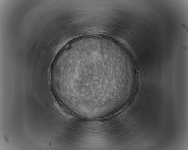 X0000100471031200807031822