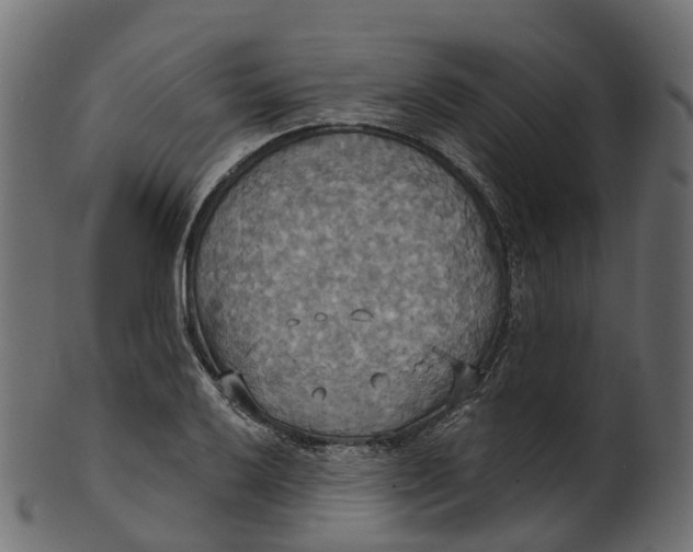 X0000100471032200807031822