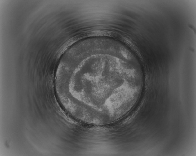 X0000100471033200807031822