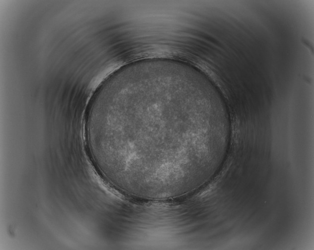 X0000100471034200807031822