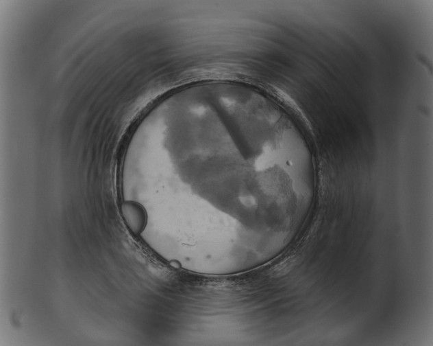 X0000100471035200807031822