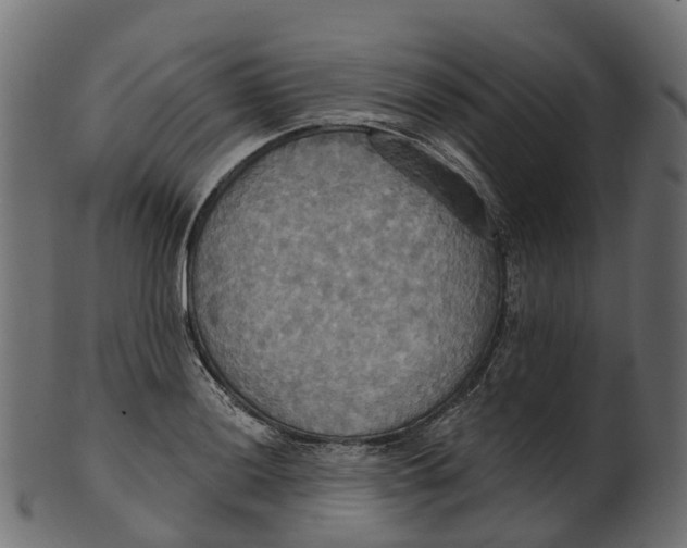 X0000100471036200807031823