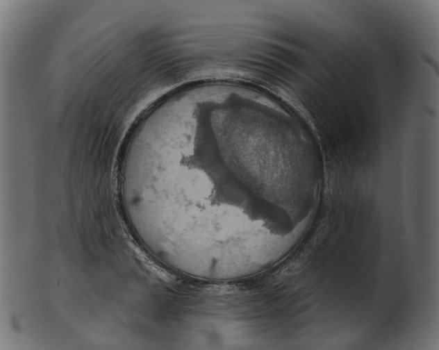 X0000100471037200807031823