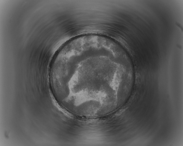 X0000100471038200807031823