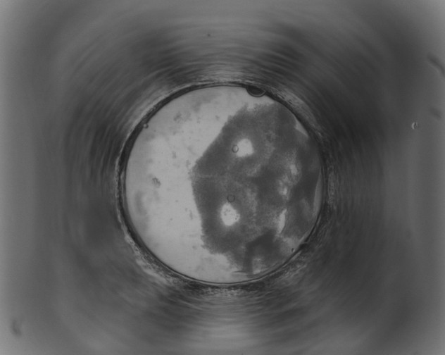 X0000100471039200807031823