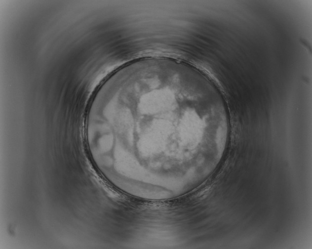 X0000100471040200807031823