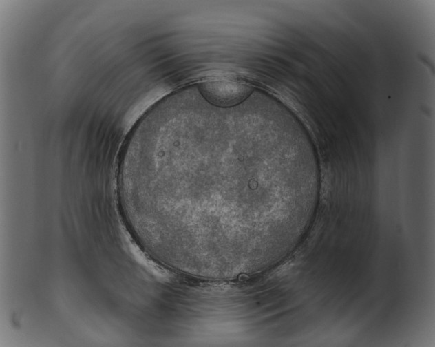 X0000100471042200807031823