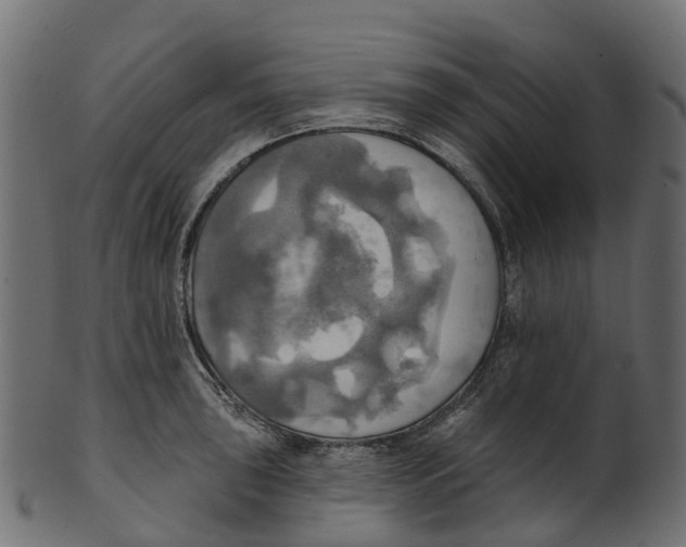 X0000100471043200807031823