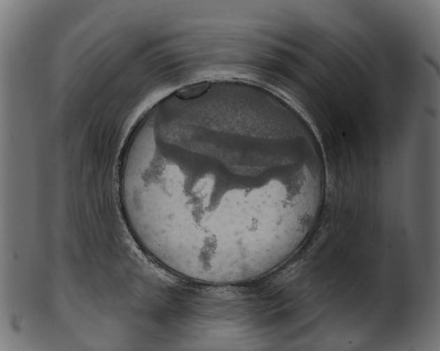 X0000100471045200807031823