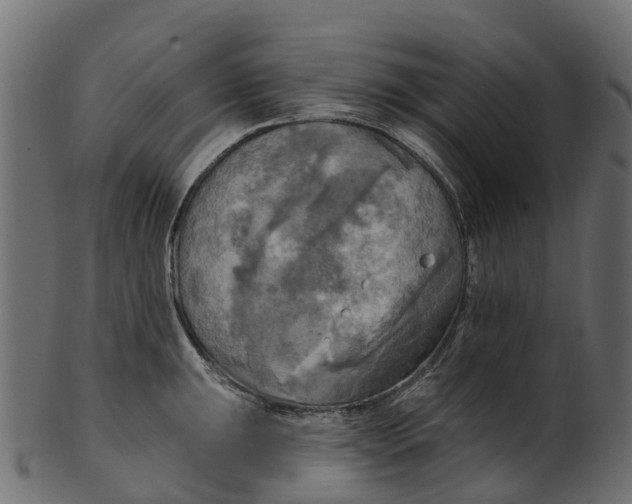 X0000100471047200807031823