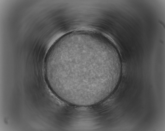 X0000100471048200807031823