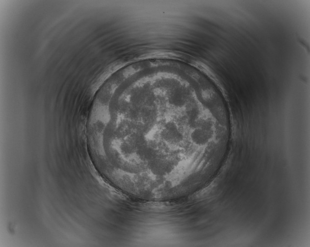 X0000100471049200807031823