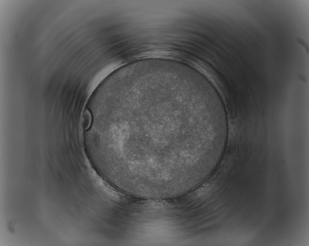 X0000100471050200807031823