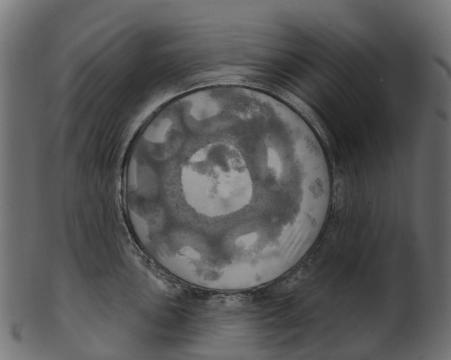 X0000100471051200807031823