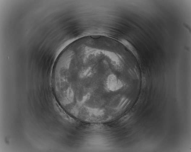 X0000100471052200807031823