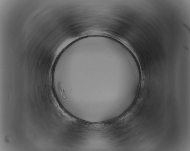 X0000100471053200807031823