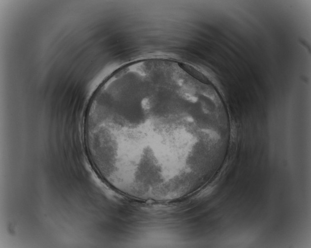 X0000100471054200807031823