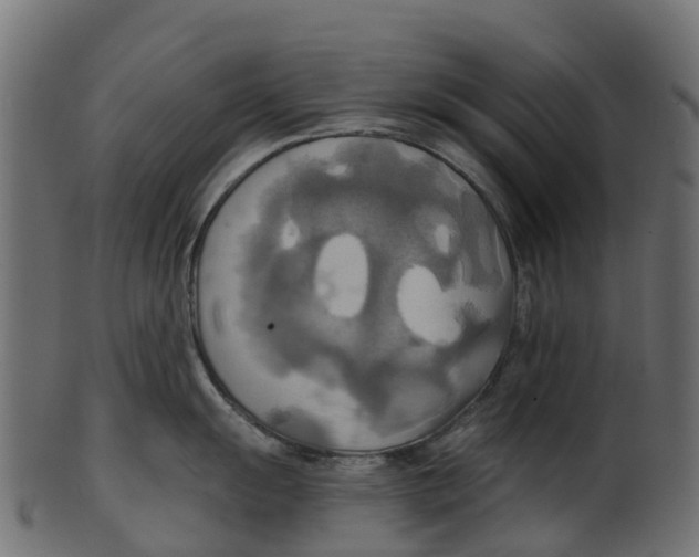 X0000100471055200807031823