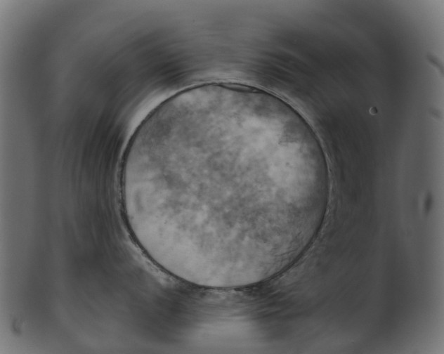 X0000100471056200807031823