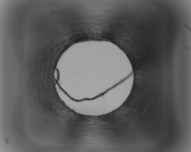 X0000100471057200807031822