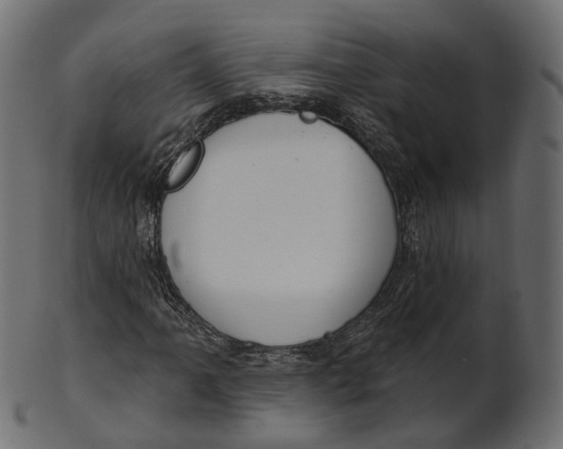 X0000100471061200807031822