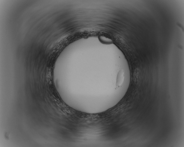 X0000100471062200807031822