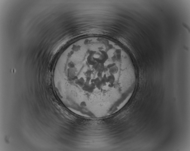 X0000100471067200807031822