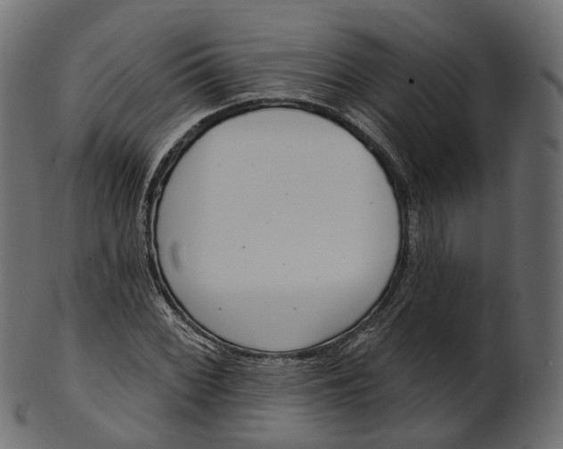 X0000100471068200807031822