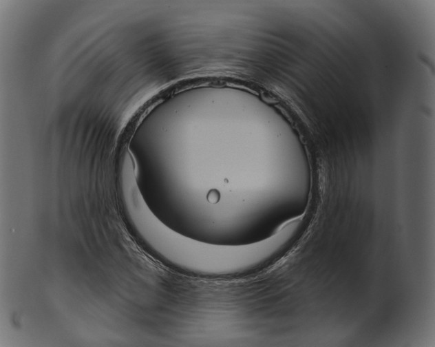 X0000100471069200807031822