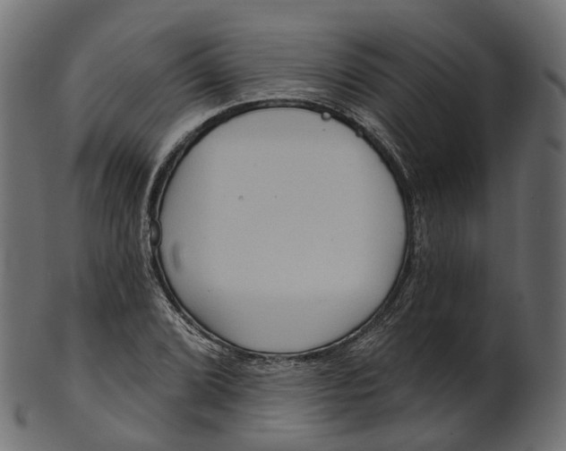 X0000100471072200807031822