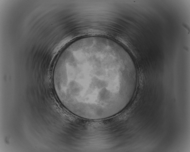 X0000100471074200807031822