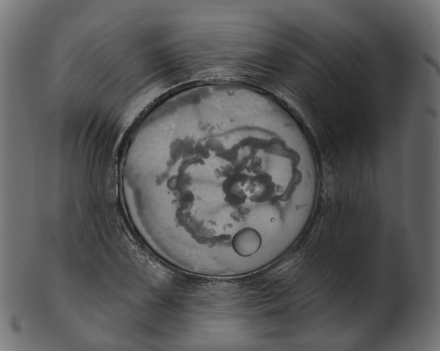 X0000100471075200807031822