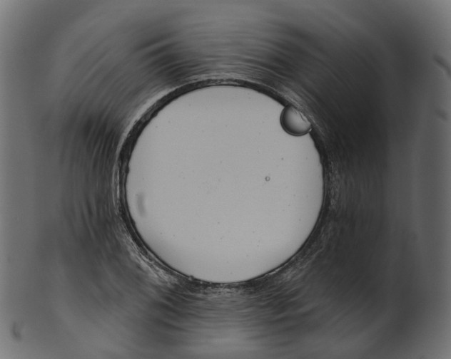 X0000100471076200807031822