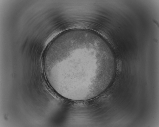 X0000100471078200807031822