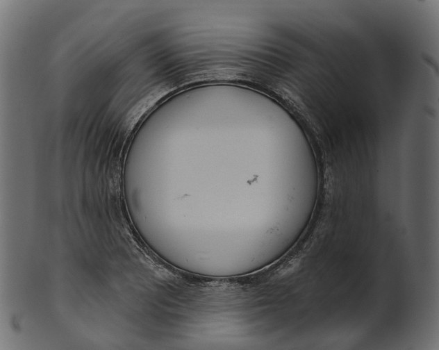 X0000100471081200807031822