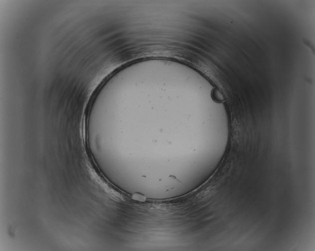 X0000100471084200807031822