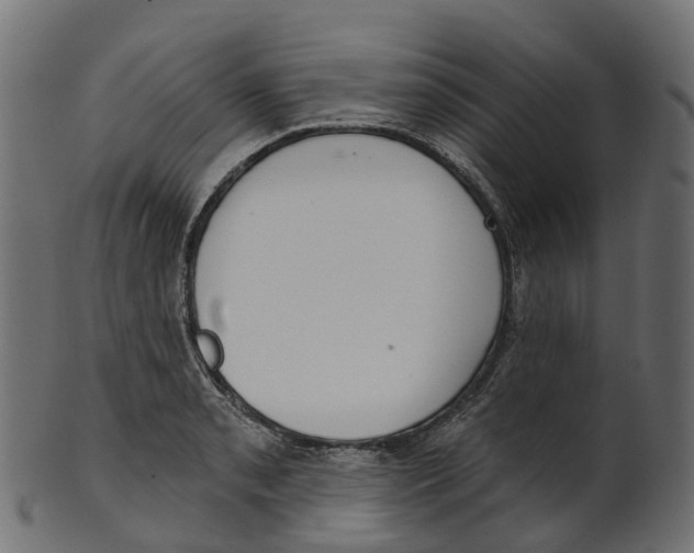 X0000100471085200807031822