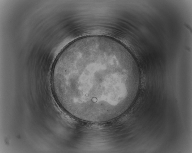 X0000100471086200807031822