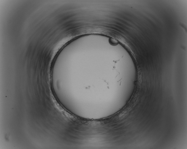 X0000100471088200807031822