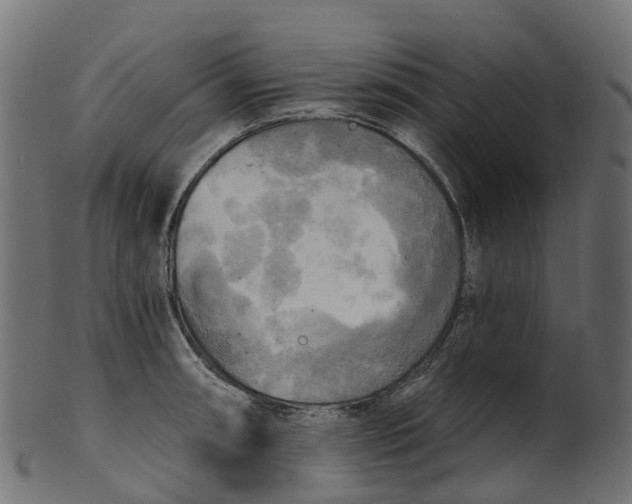 X0000100471090200807031822