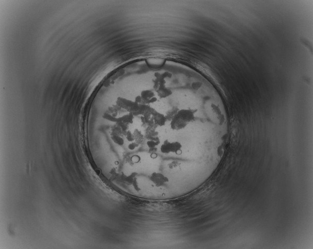 X0000100471091200807031822