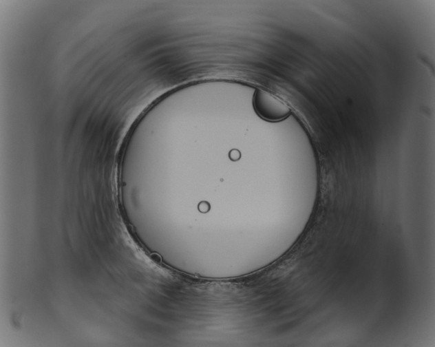 X0000100471092200807031822