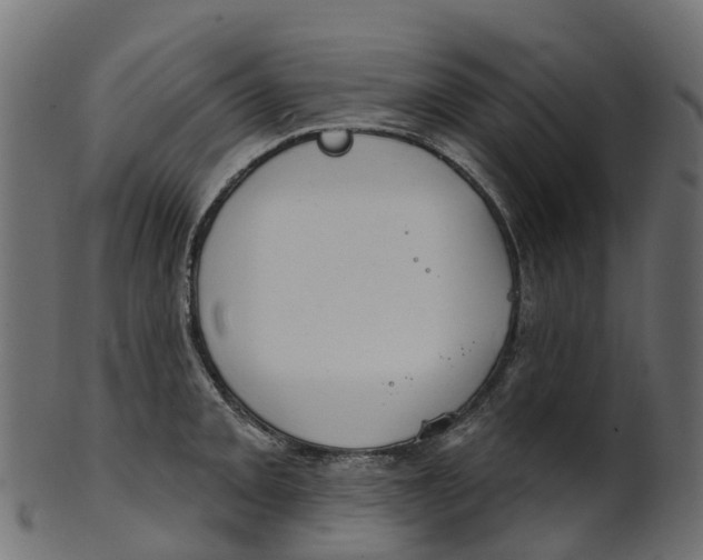 X0000100471093200807031822