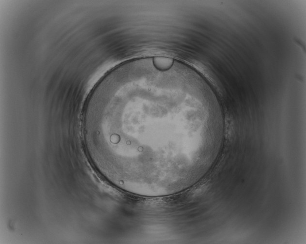 X0000100471094200807031822