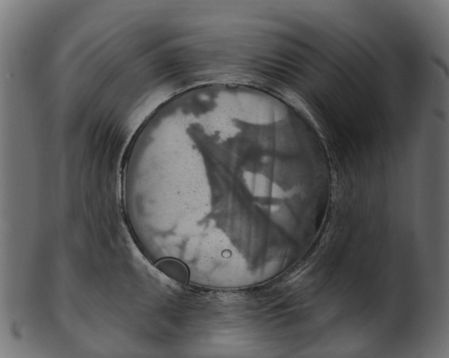 X0000100471095200807031822