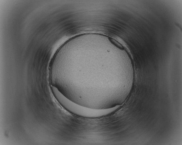 X0000100471096200807031822